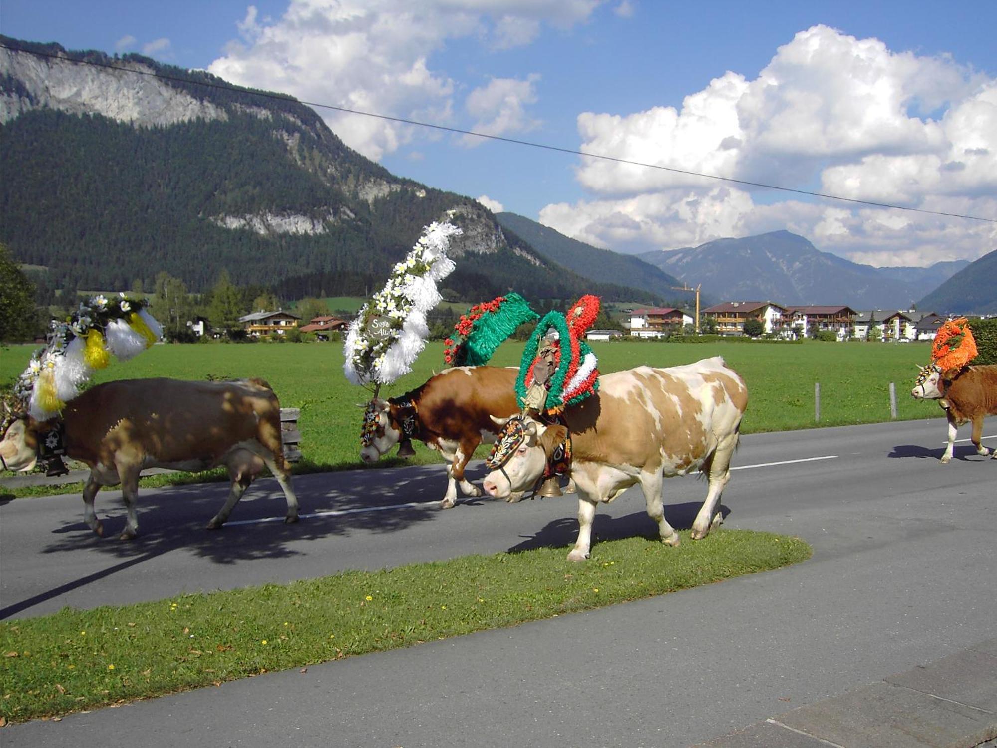 Appartement Fischer Sankt Johann in Tirol Exterior foto